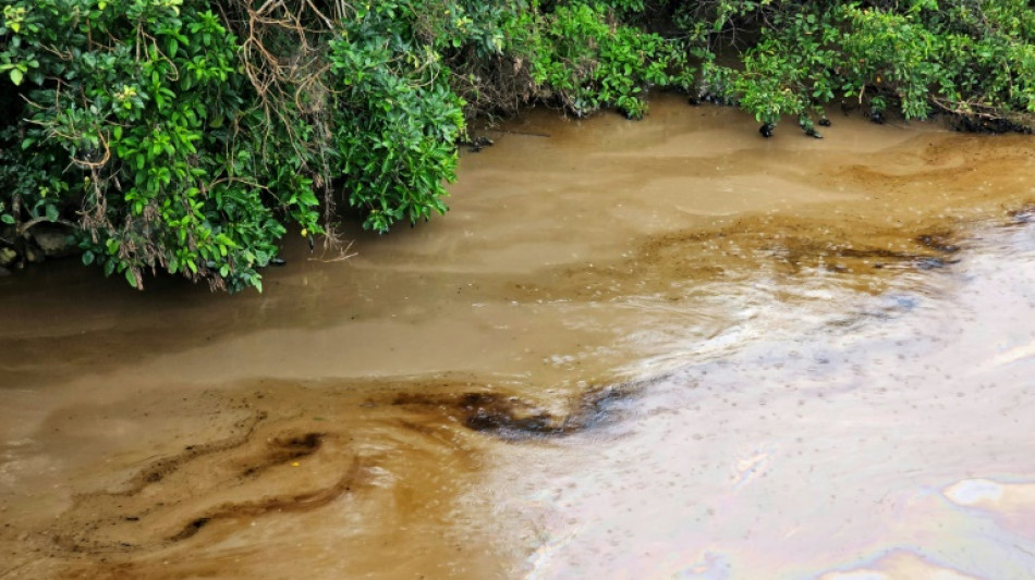 L'Equateur r&eacute;duit ses exportations de p&eacute;trole apr&egrave;s une grave fuite d'hydrocarbures