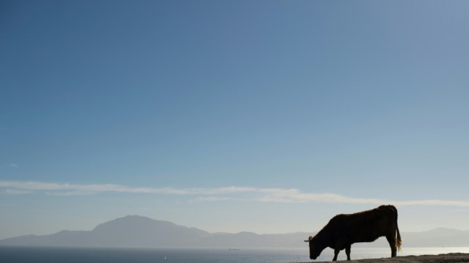La M&eacute;diterran&eacute;e a perdu 70% de son eau il y a 5,5 millions d'ann&eacute;es