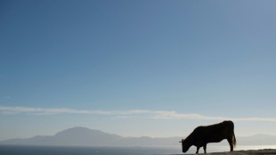 La M&eacute;diterran&eacute;e a perdu 70% de son eau il y a 5,5 millions d'ann&eacute;es