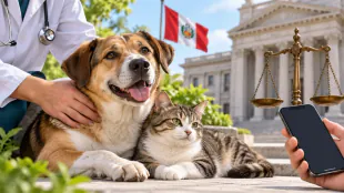 Maltrato animal en Per&uacute; puede castigarse con hasta cinco a&ntilde;os de prisi&oacute;n