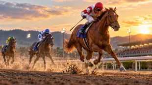 リケアボレロが3連勝でネクストスター高知制覇