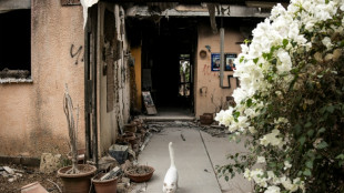 Leiche von Deutsch-Israeli und weiterer Hamas-Geisel nach &Uuml;bergabe an Israel identifiziert