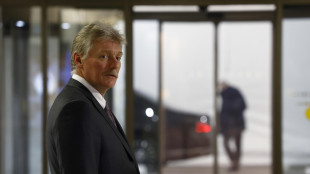 Cremlino, 'nessuna tregua di Natale, puntiamo ad accordo di pace'