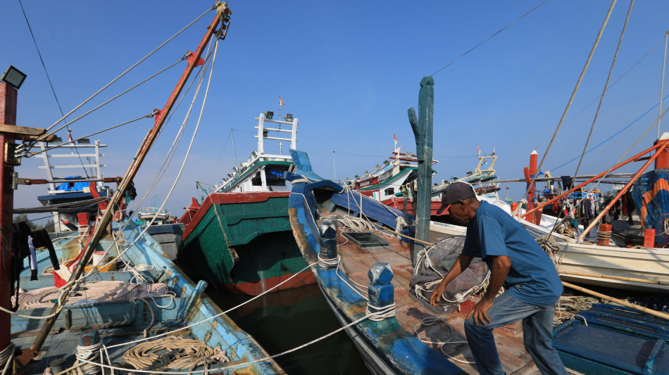 Pesca in economia di guerra, da Chioggia a Mazara uscite dimezzate