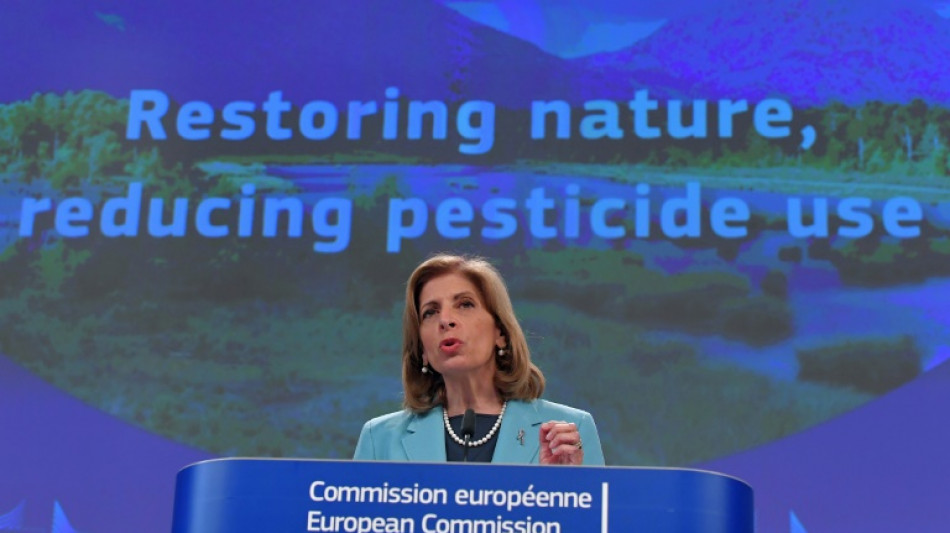 La Comisi&oacute;n Europea lanza un plan para reducir el uso de pesticidas