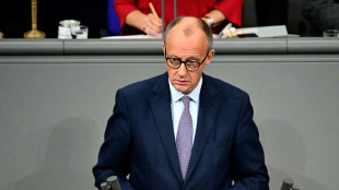 Merz va demander à l'UE de prêter à l'Ukraine 140 milliards d'euros garantis par des avoirs russes