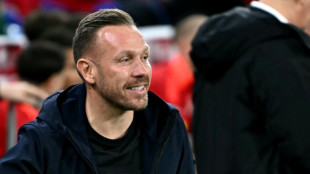 Wales would be 'massive asset' to World Cup, says Bellamy