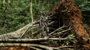 Les gardiens de Kambui livrent un combat in&eacute;gal contre les chercheurs d'or et la d&eacute;forestation