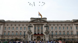 Prisi&oacute;n preventiva por tratar de entrar en la caballeriza del Palacio de Buckingham
