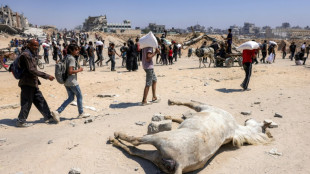 El enviado de Trump ir&aacute; el viernes a Gaza para inspeccionar la distribuci&oacute;n de la ayuda