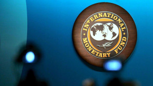 Fmi, Pil Usa a +2,4% nel 2026, rischio inflazione da prezzi energia