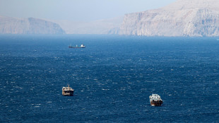 Usa hanno scortato una petroliera nello Stretto di Hormuz