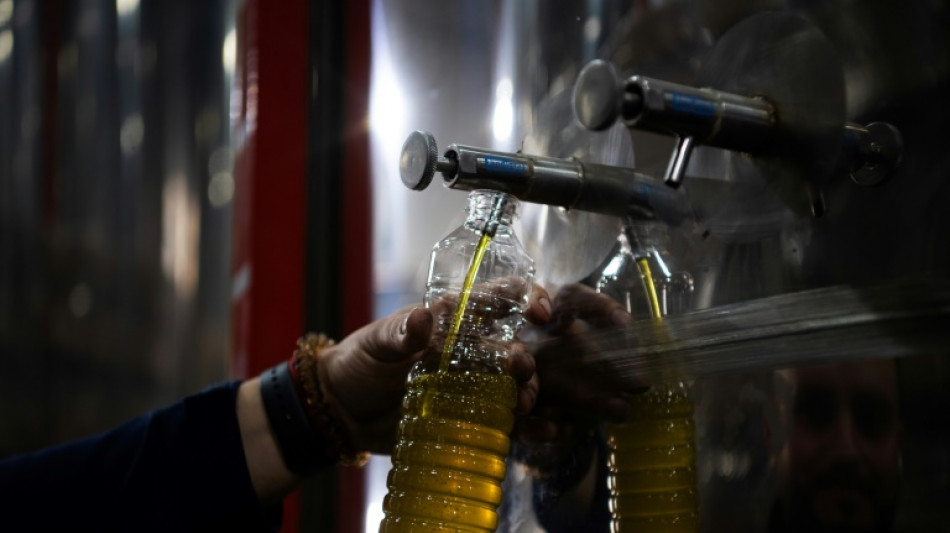 El desempleo en España ascendió al 11,36% en el primer trimestre