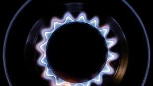 Il gas chiude in ribasso del 3,5% ad Amsterdam