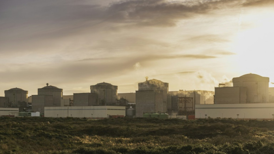 Jellyfish force French nuclear plant shutdown