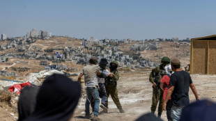 Colonos israel&iacute;es en Cisjordania atacan a periodistas de la AFP