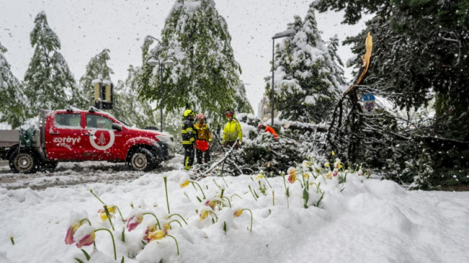 Heftige Schnee- und Regenf&auml;lle: Stra&szlig;en und Bahnstrecken in der Schweiz gesperrt