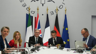 Hormus-Konferenz in Paris begonnen - Merz bei Beratungen mit Vertretern aus 50 L&auml;ndern