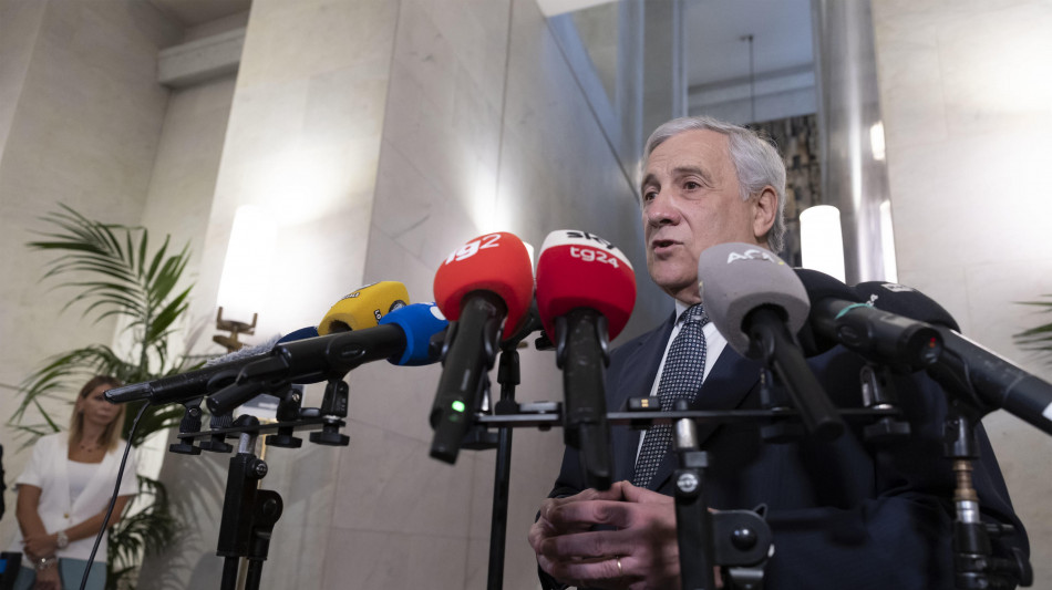 FI, chiediamo incontro ad alleati sulle preferenze, per ora &egrave; un 'ni'