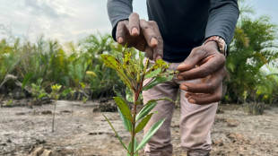 "Redonner vie &agrave; nos mangroves": au sud du Nigeria, l&rsquo;enjeu vital de la pr&eacute;servation des for&ecirc;ts