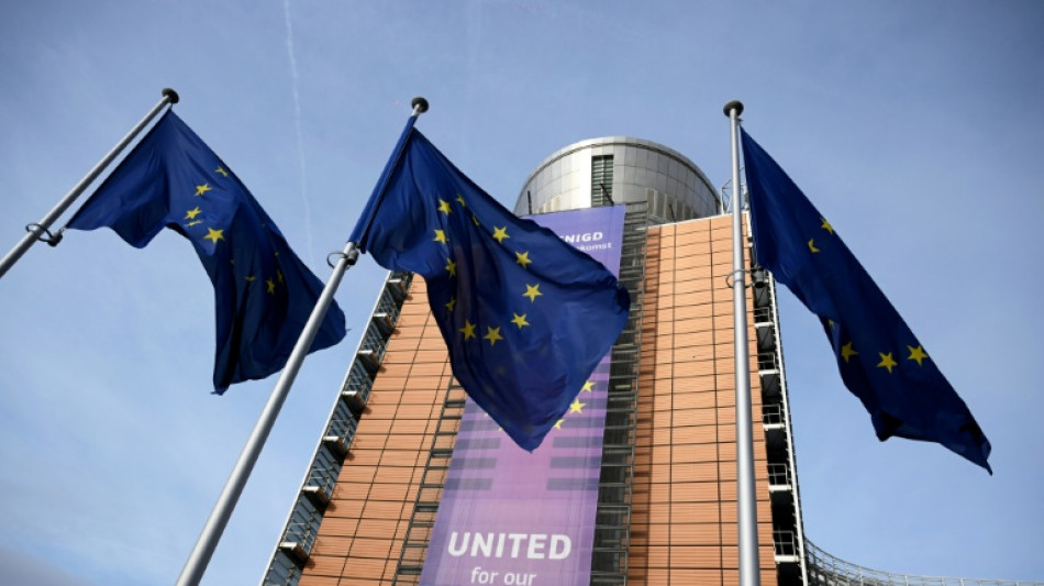 Trotz Protest Frankreichs: Brüssel will Mercosur-Abkommen dieses Jahr abschließen