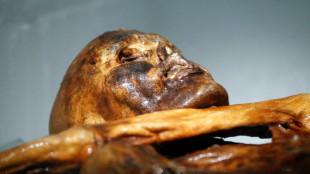 Des chercheurs trouvent de la levure dans les entrailles d'&Ouml;tzi... et en font du pain