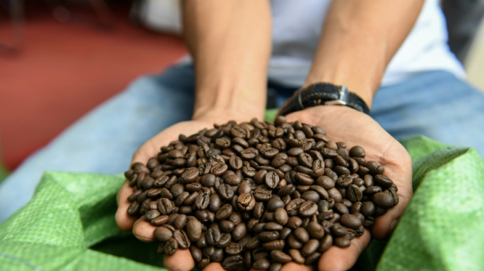 Vietnam quiere promover su caf&eacute; robusta en un mundo cada vez m&aacute;s caliente