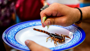 Mann in Baden-W&uuml;rttemberg von Skorpion gestochen