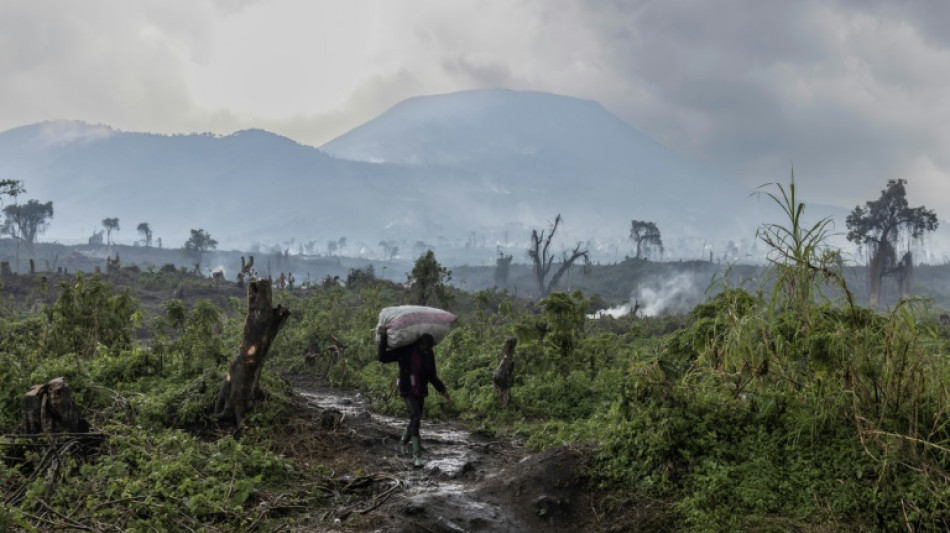 Mueren 50 hipopótamos en una reserva de África debido a una bacteria