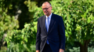 Merz zu Richterwahl: Von AfD oder Linkspartei m&uuml;ssten Abgeordnete zustimmen