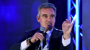 Immobiliare, salute, estero: Reale Mutua, tre direttrici per crescere