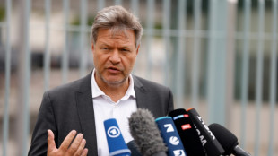 Ministro alem&atilde;o diz que tarifas da UE a carros el&eacute;tricos chineses n&atilde;o s&atilde;o punitivas