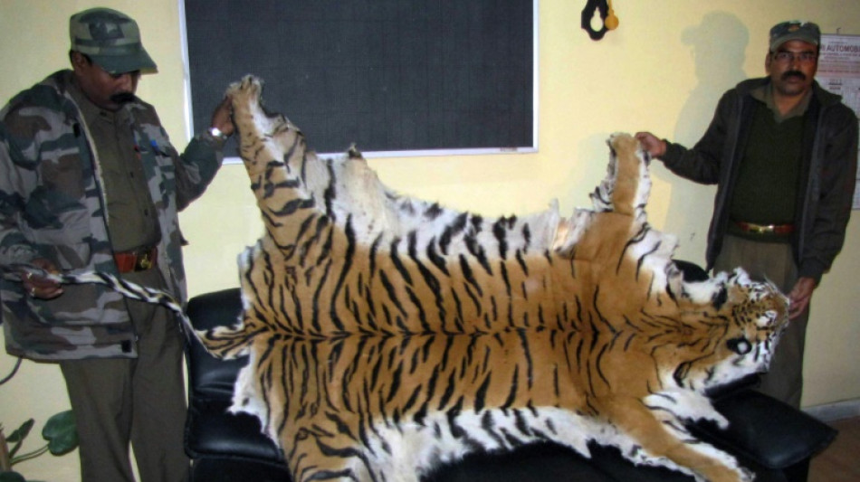 Inteligencia artificial para luchar contra el tr&aacute;fico ilegal de tigres