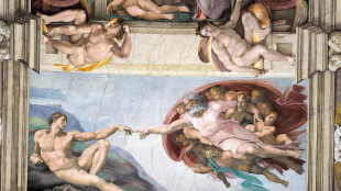 Uno studio identifica venti nuove opere di Michelangelo