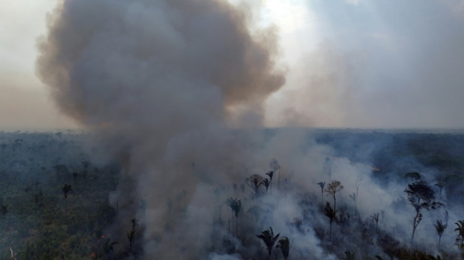 Brazil records 65 percent drop in Amazon area burned by fire