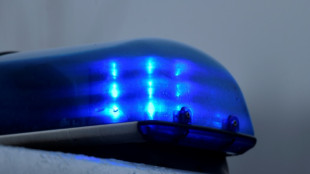 Suche mit Hunden und Drohnen: Drei Monate altes Baby in Renningen vermisst
