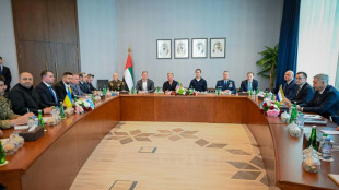 Ukraine, Russia swap prisoners, US says 'work remains' to end war 