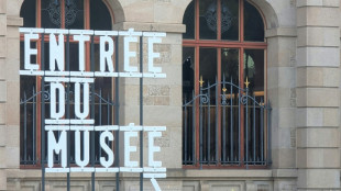 French museum hit by 9.5 mn euro porcelain heist