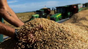 Proibidos na UE, mas exportados ao Mercosul: as contradi&ccedil;&otilde;es da Europa sobre os pesticidas