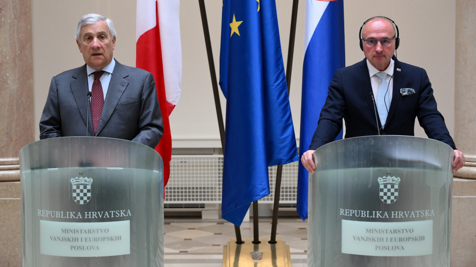 Tajani, Merz sar&agrave; cancelliere,il problema si risolver&agrave;