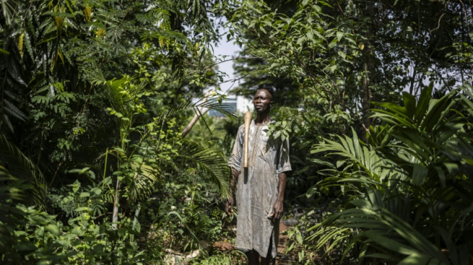 Dans la capitale nig&eacute;riane, les fermes urbaines menac&eacute;es par la pression immobili&egrave;re