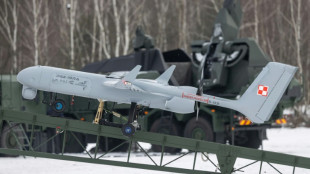 Polonia insta a Espa&ntilde;a, Francia e Italia a aumentar el gasto en defensa