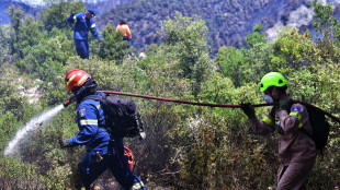 Grecia, evacuazioni precauzionali per un incendio sull'isola di Paros