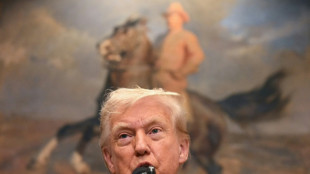 Trump adia aumento das tarifas ao M&eacute;xico por 90 dias