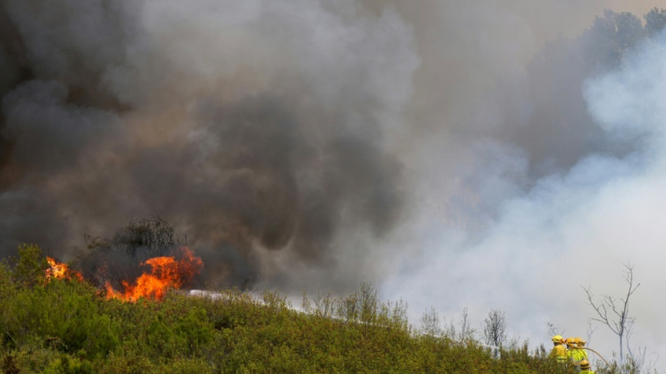 Pedro S&aacute;nchez propone un pacto nacional ante "la emergencia clim&aacute;tica" en plenos incendios en Espa&ntilde;a