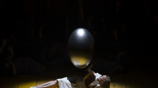 Il dubbio e una verità che acceca, Lohengrin all'Opera di Roma