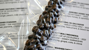 Una cafeter&iacute;a en Australia vende caf&eacute; paname&ntilde;o a 140 d&oacute;lares la taza