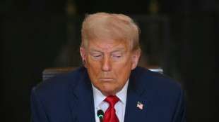 Tribunal de apela&ccedil;&otilde;es dos EUA considera 'inconstitucional' ordem de Trump que encerra cidadania por nascimento