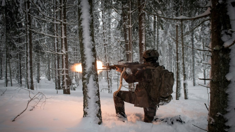 Aliados de la OTAN se enfrentan a un fr&iacute;o casi polar durante maniobras en Estonia