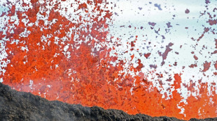 Haw&aacute;i moviliza a los guardias nacionales por la erupci&oacute;n del Mauna Loa
